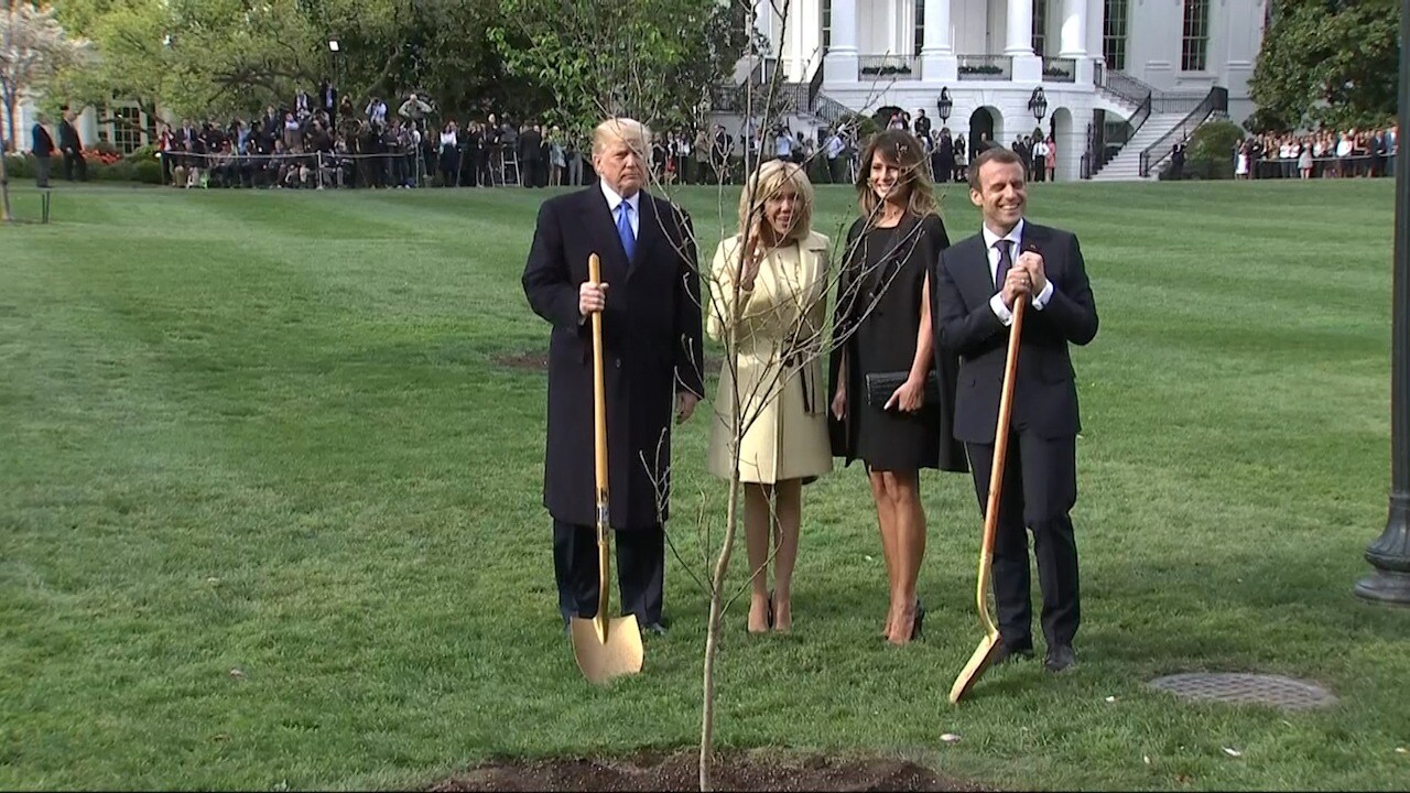 Presidentträd spårlöst borta