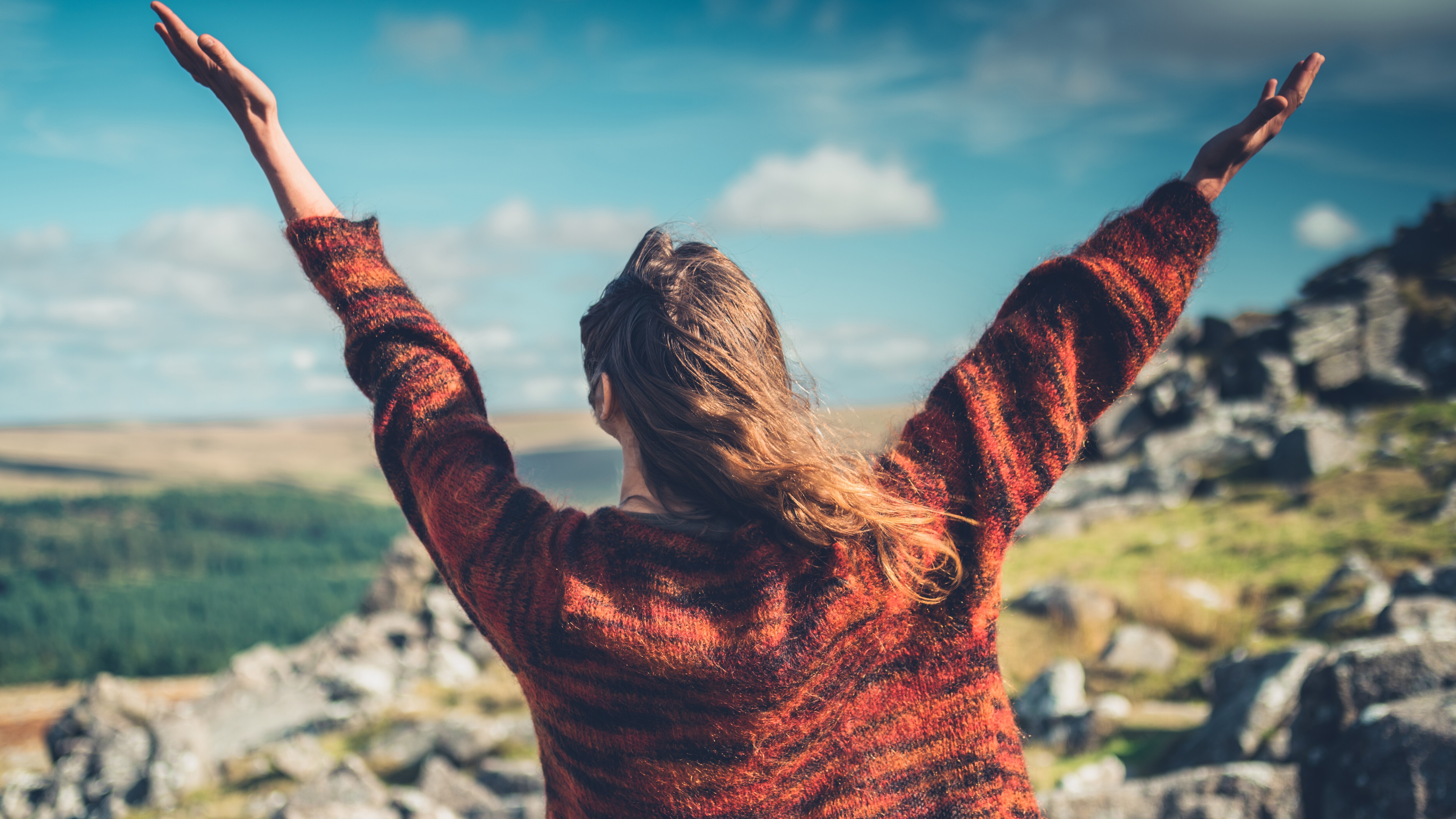 Wellness (arkiverad) cover art