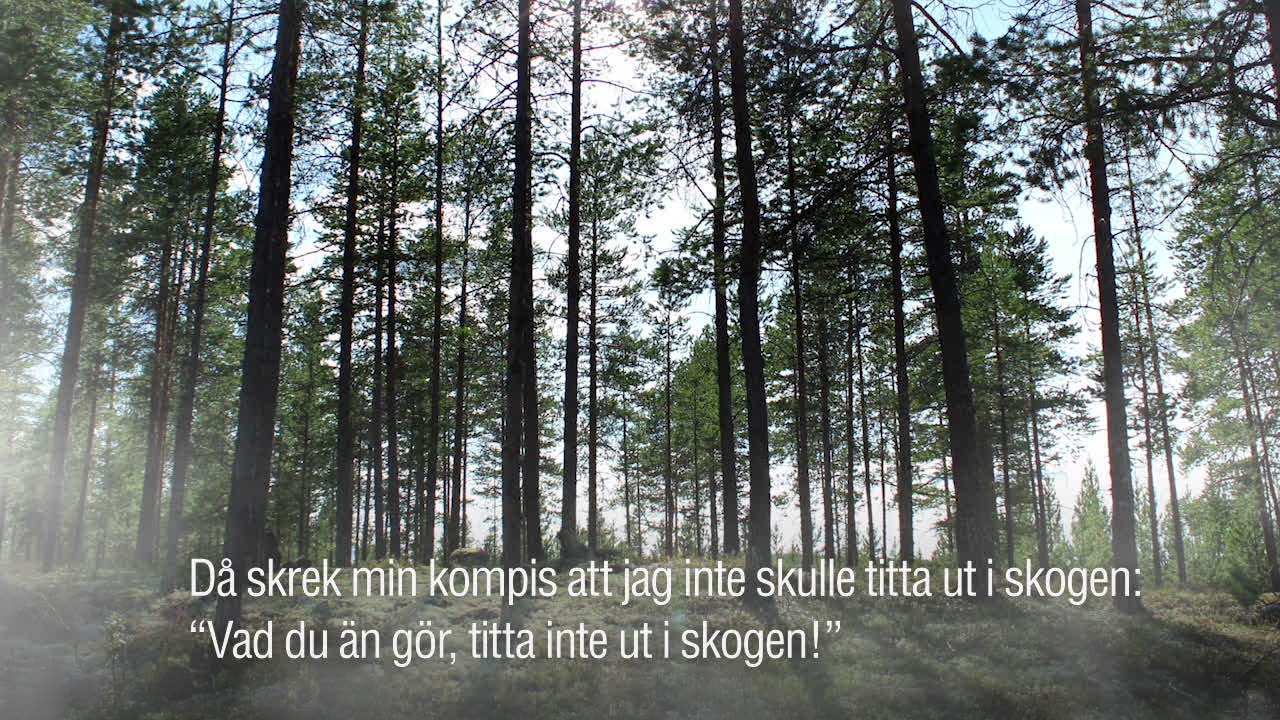 Jagades av björn i kilometer: “Det var jätteotäckt”