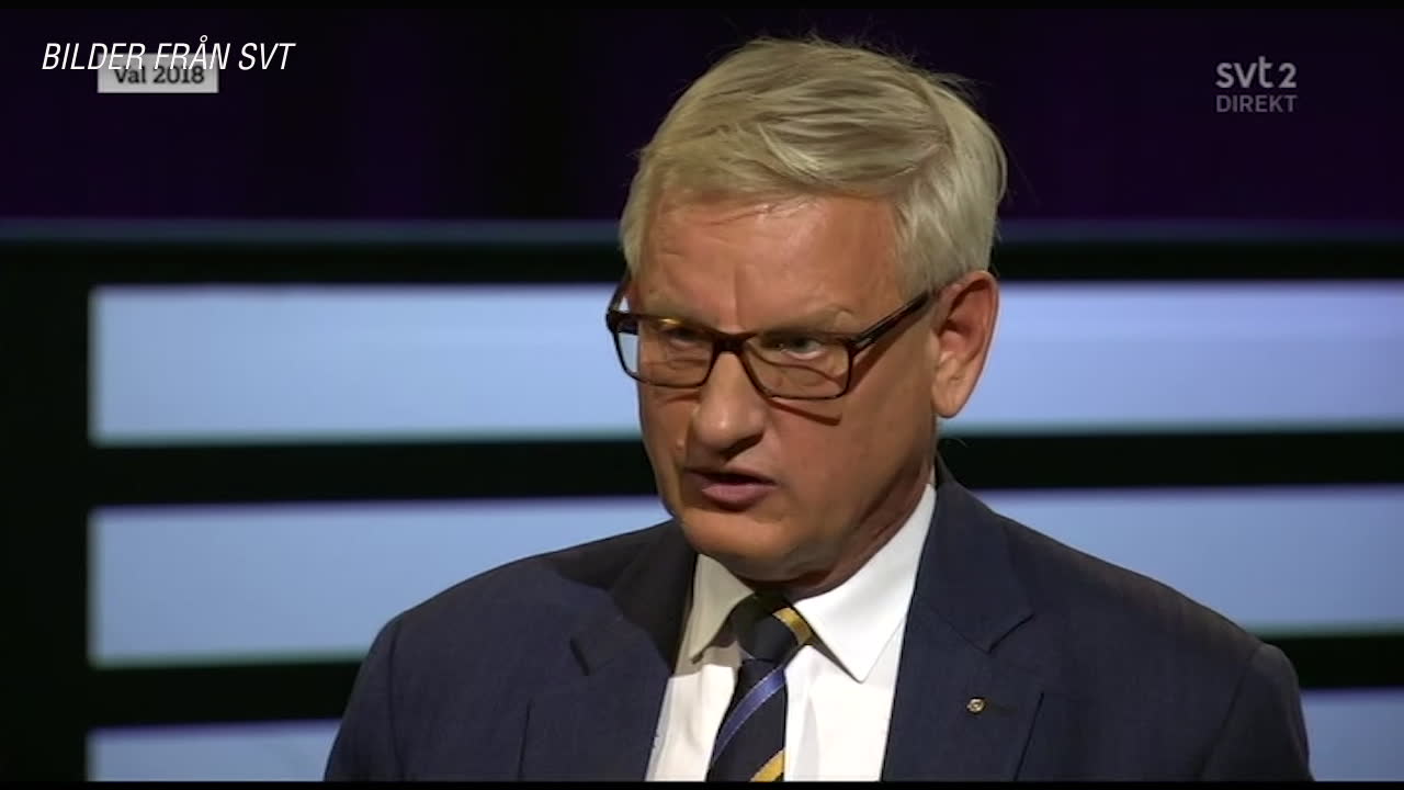 Här ryker Jimmie Åkesson och Carl Bildt ihop om EU