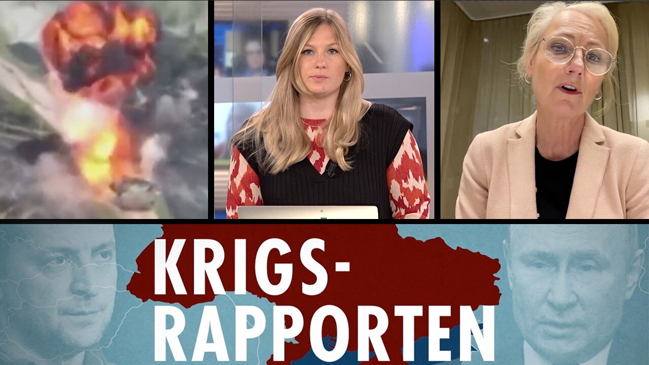 Krigsrapporten: Så ska samhället rustas