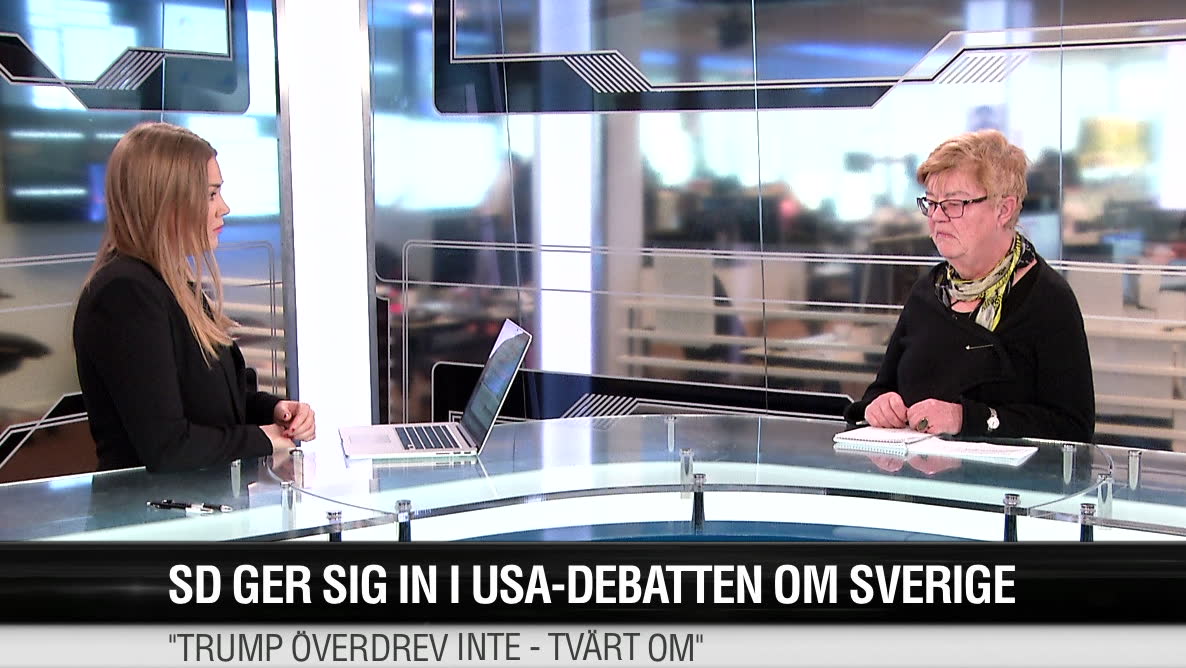 Lena Mellin: "Vädigt mycket som inte stämmer"