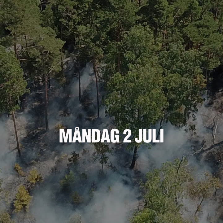 Dagens tre rubriker måndag 2 juli