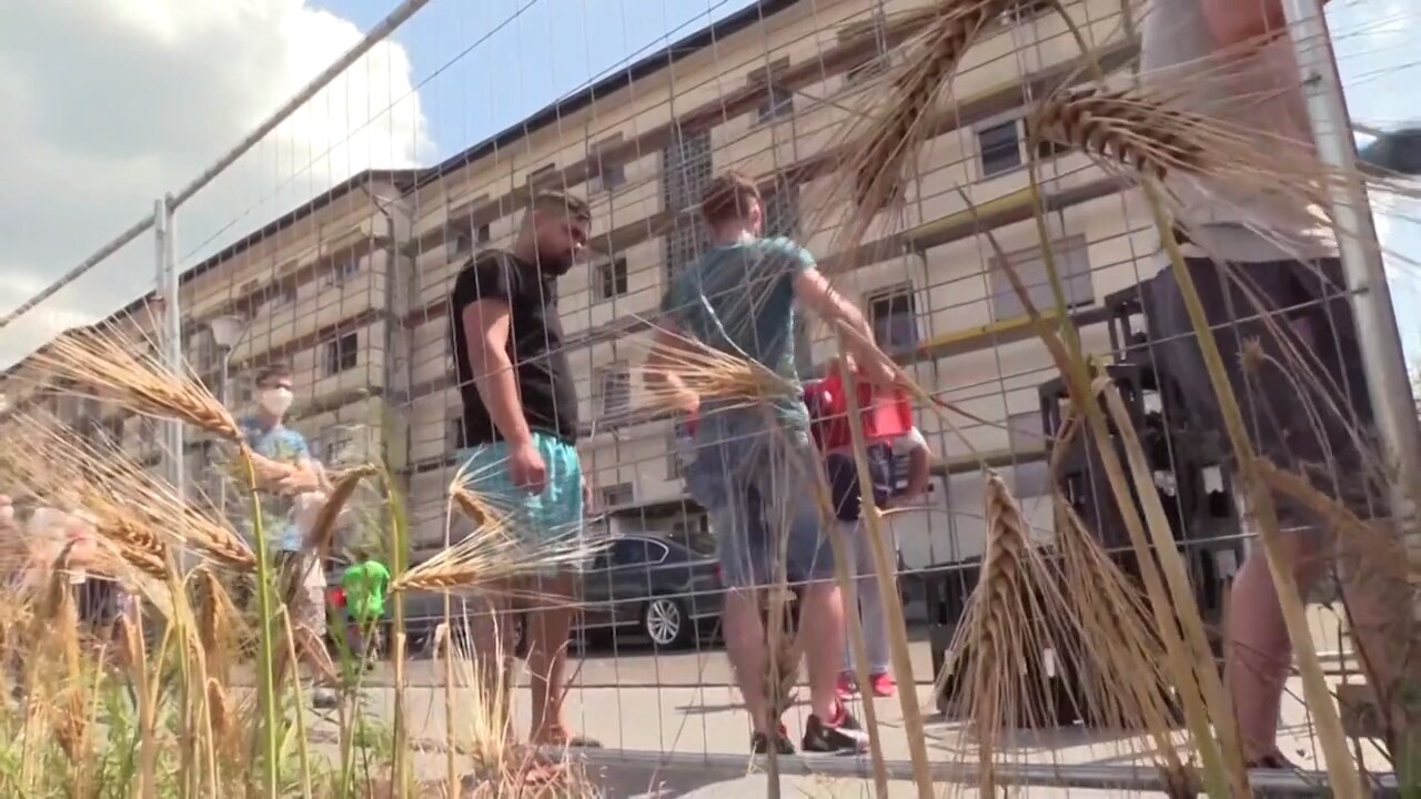 Smittspårning efter coronautbrott på köttfabrik