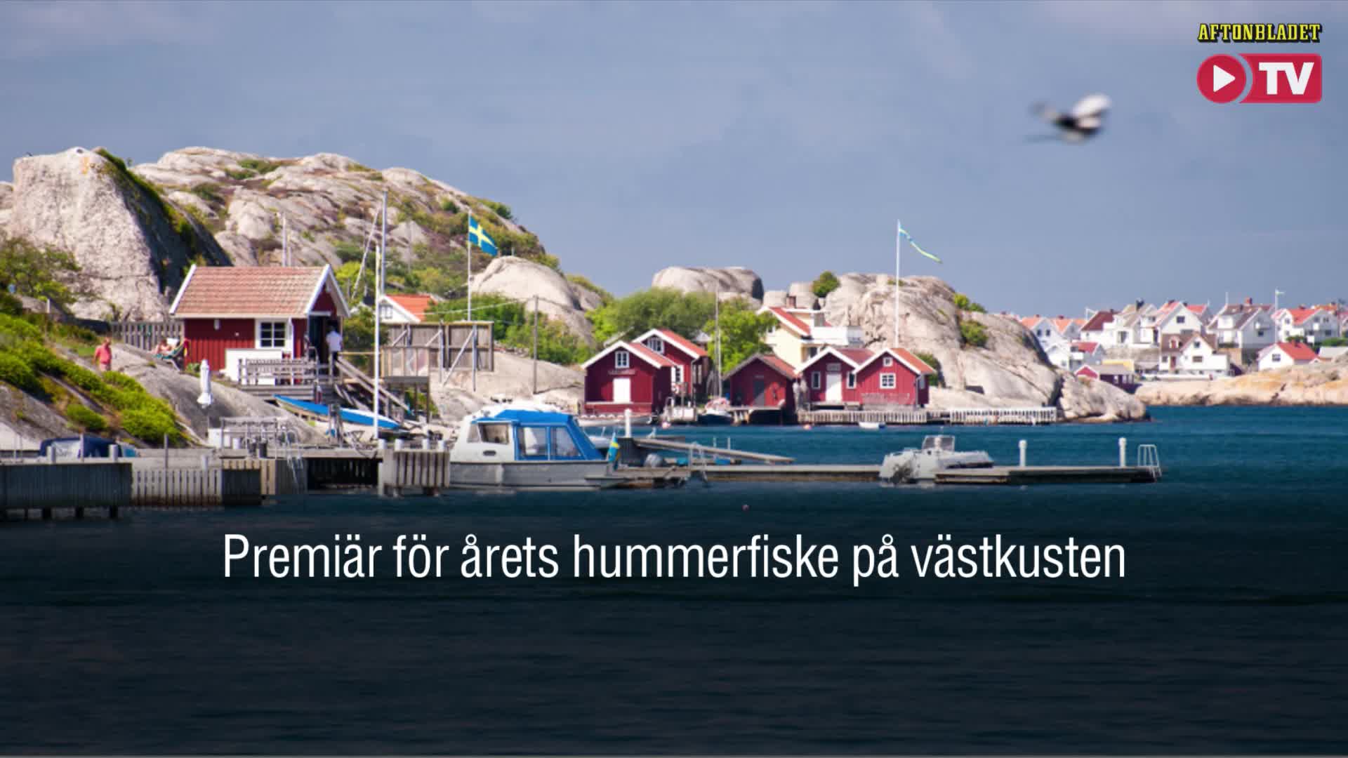 Hummerpremiär – fiska din egen hummer