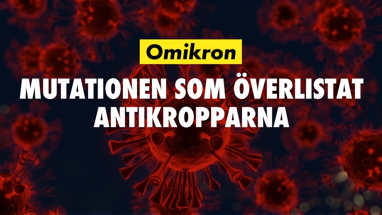 Omikron: Antikropparna kan inte fastna på den nya "nyckeln"