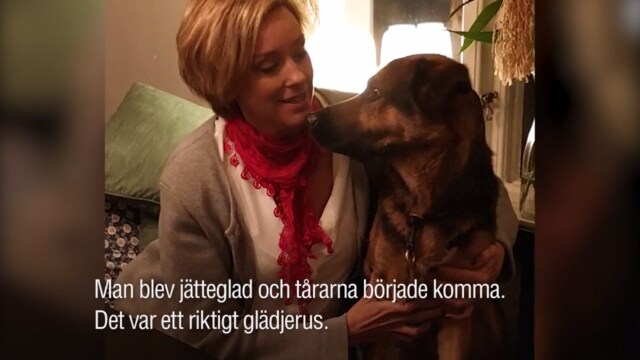 Efter stort engagemang – hunden Ayla hittad