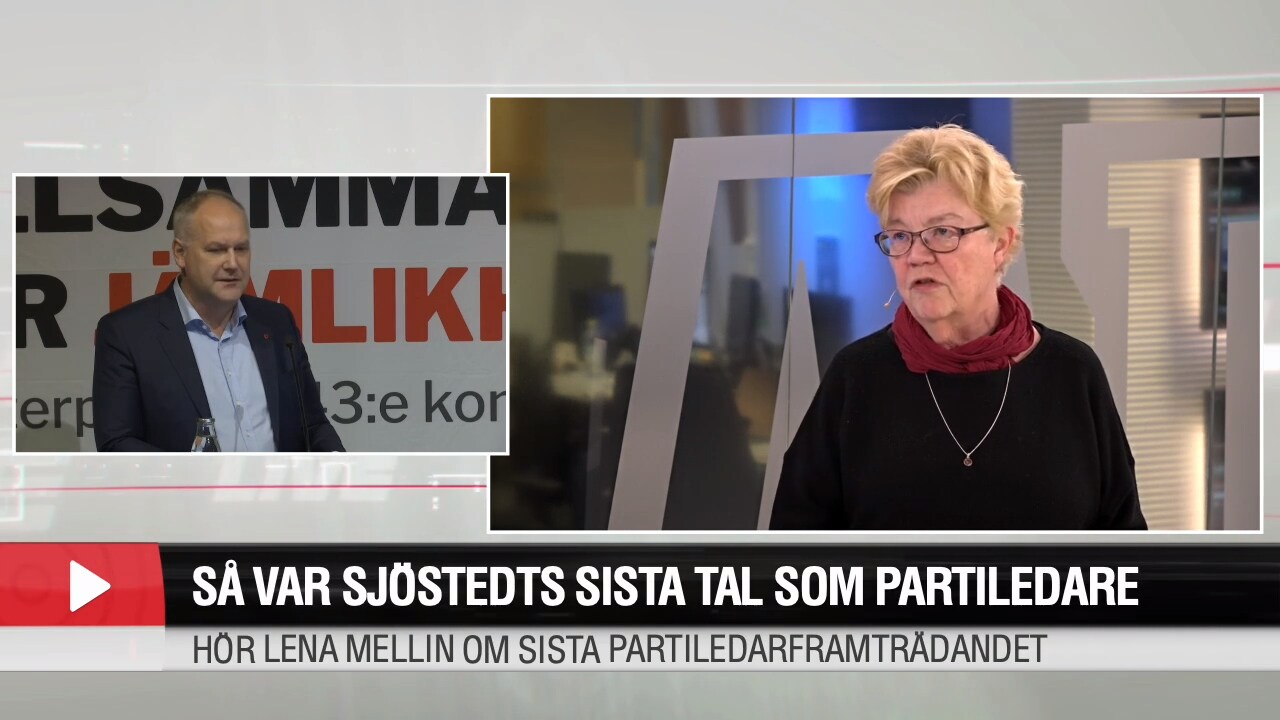 Lena Mellin: "Det var ett torrt och tråkigt tal"