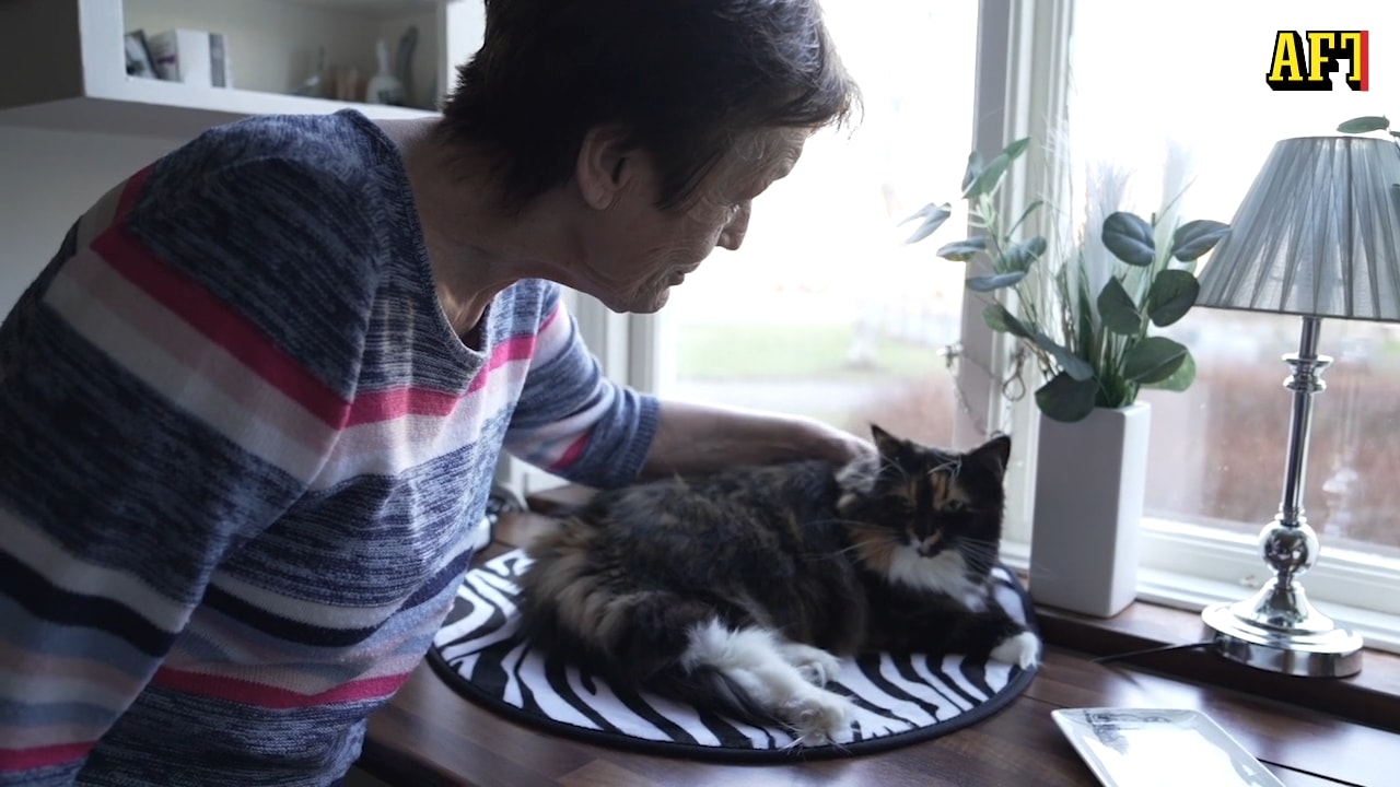 Birgitta väntar på operation: "Vårdköerna är en skam"