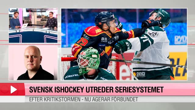 Debatt i studion om utredningen av seriesystemet