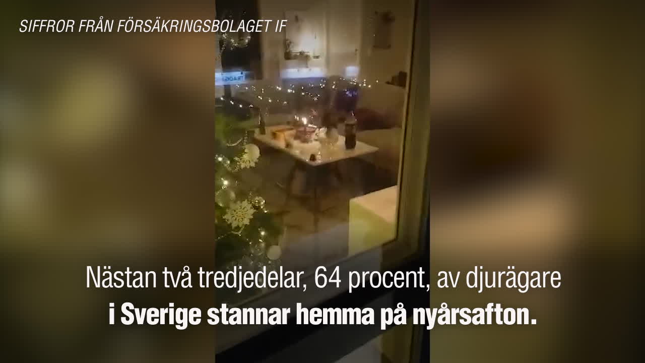Därför stannar nästan 2 av 3 djurägare hemma på nyårsafton