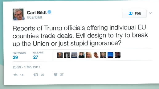 Carl Bildt: "Ondsint, eller bara dum?"