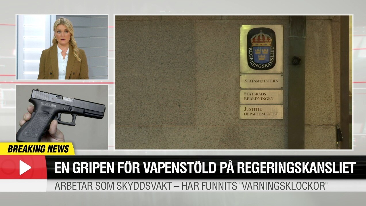 Vakt gripen för vapenstöld på regeringskansliet