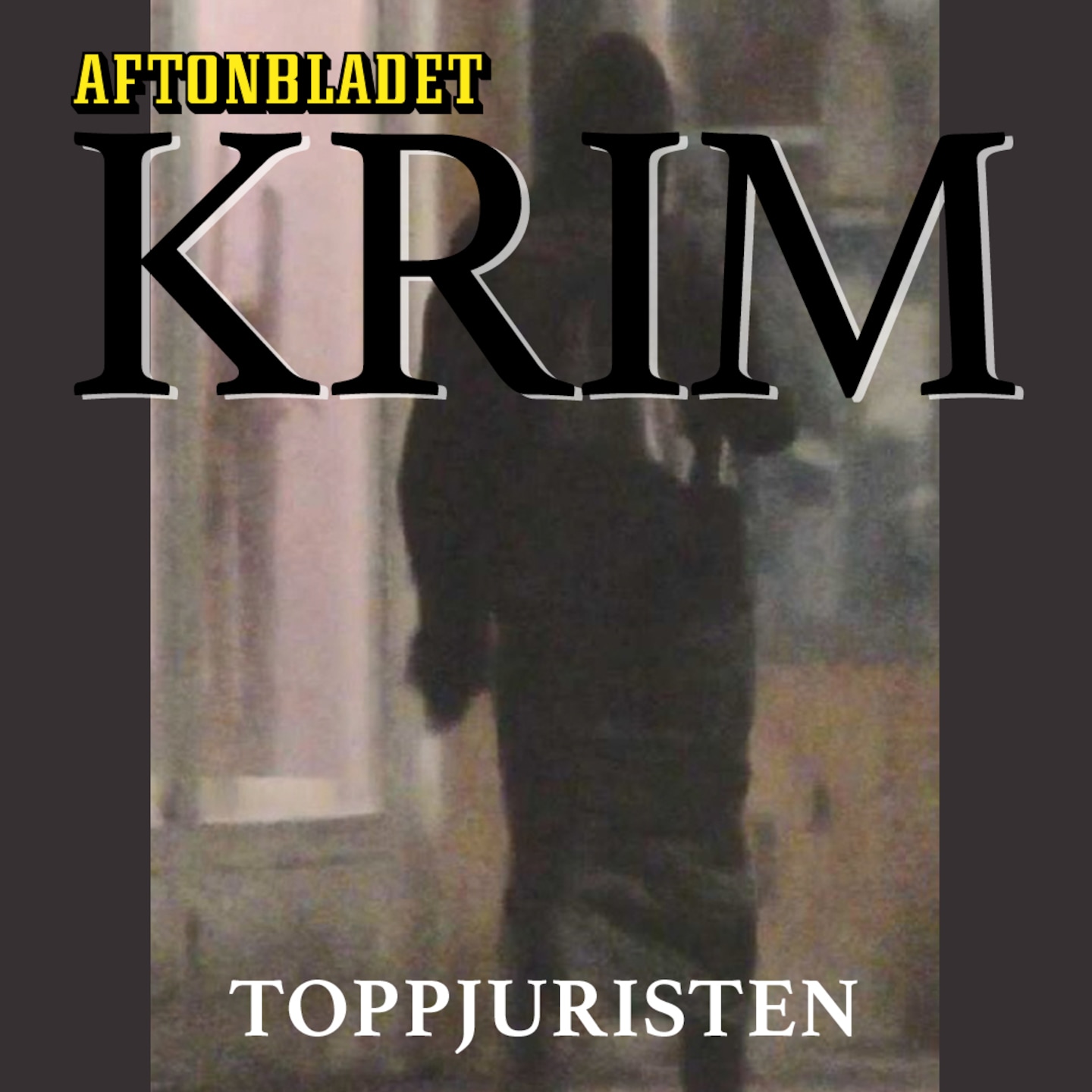 Toppjuristen