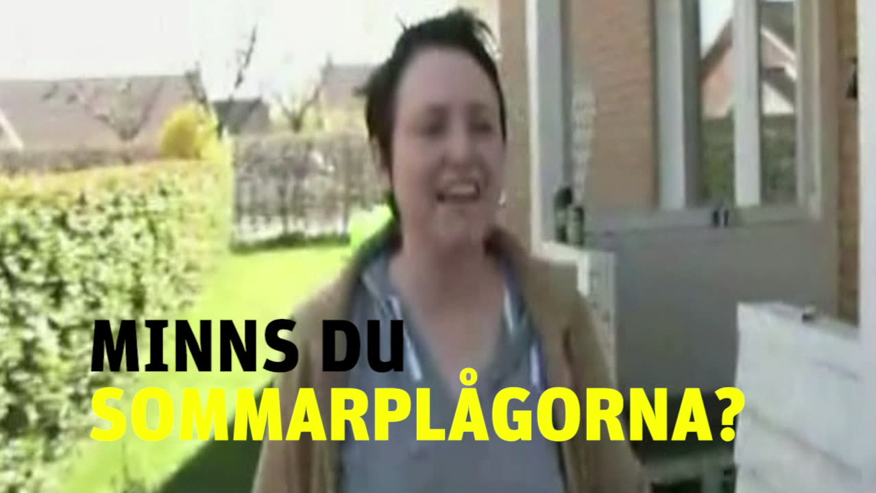 Minns du sommarplågorna?