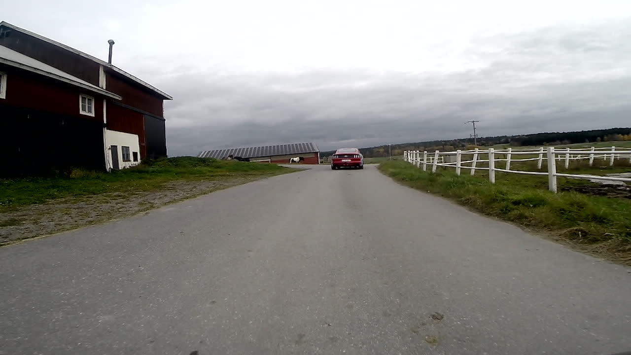 Hanna och djuren kämpar för barn med funktionsskillnader