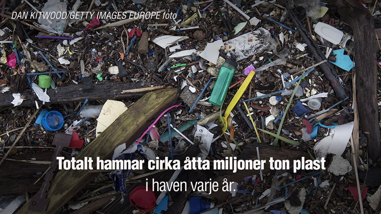 Se stranden – som är fylld av skräp