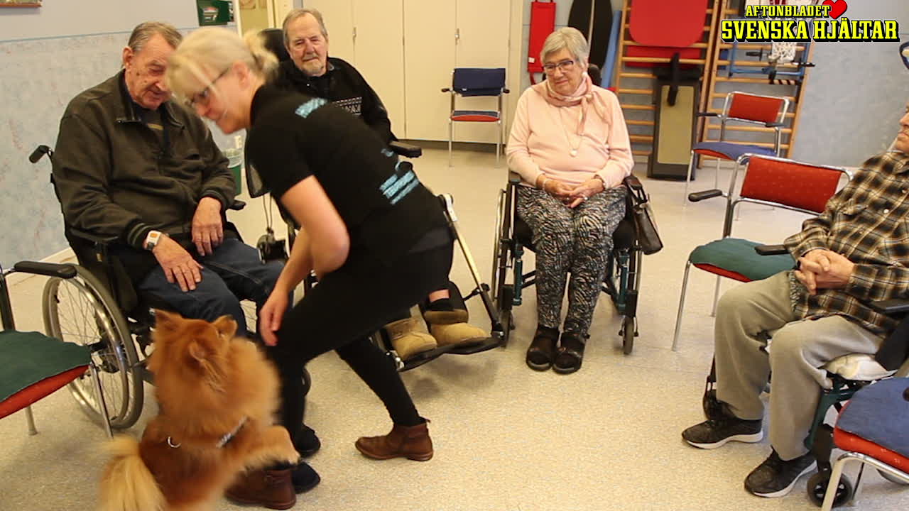 Här gör hunden Lovis succé på äldreboendet