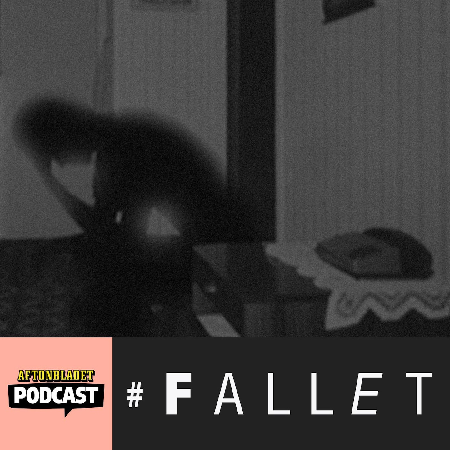 10 - Samir, Fallet och upprättelsen episode artwork