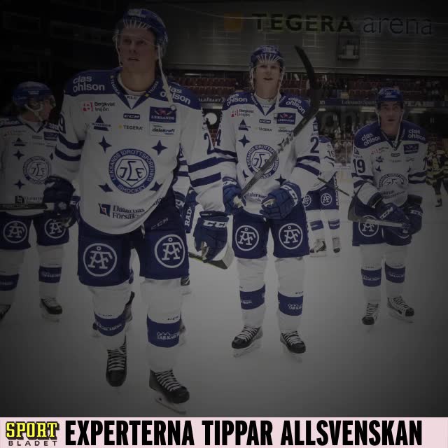 Experterna tippar hockeyallsvenskan