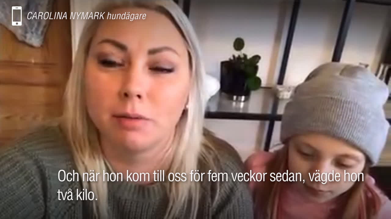Hundvalpen Lycka räddades från misär: ”Hon var bara skinn och ben”