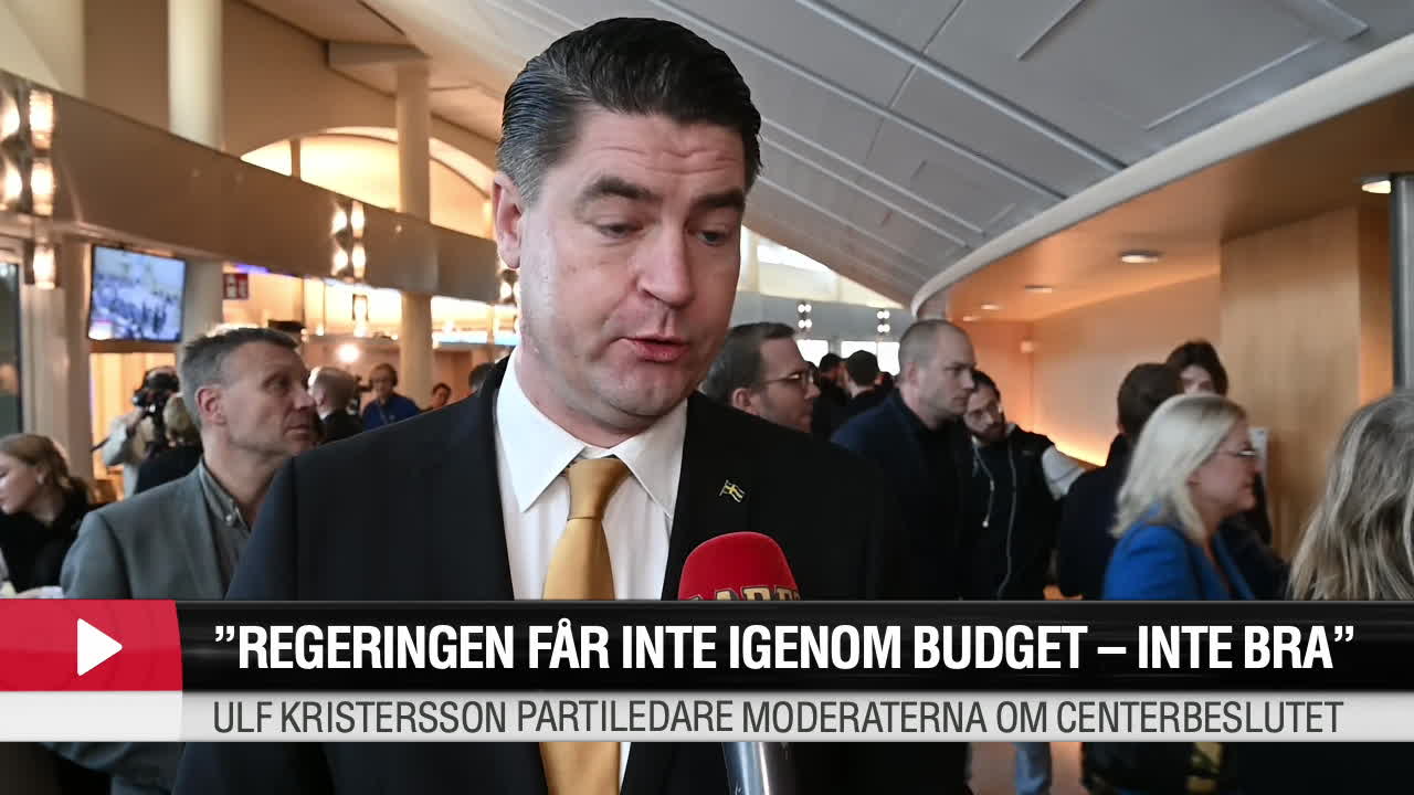Sjöstedt (SD) om statsministeromröstningen