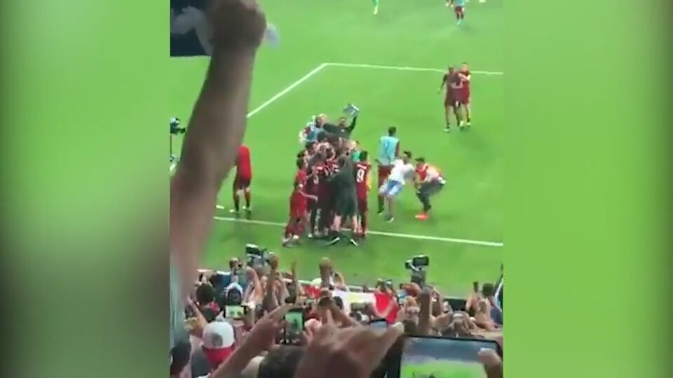 Stjärnan skadad efter tackling av ett fan