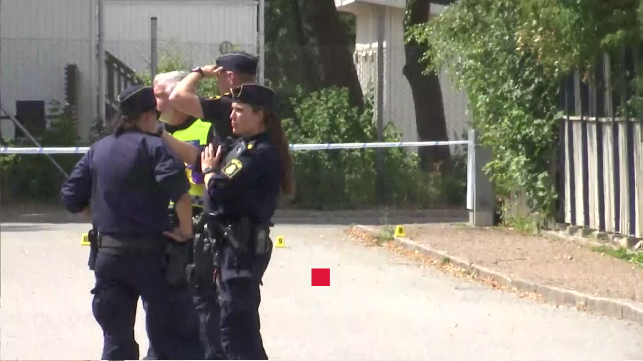 Man sköts av polis efter att ha knivskurit polishund