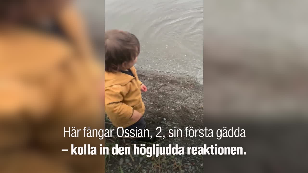 Här skriker Ossian, 2, när det nappar