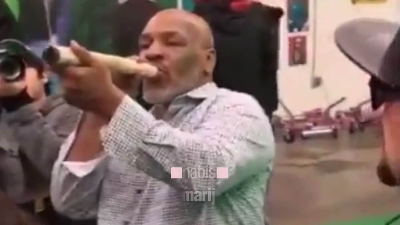 Här röker Mike Tyson en superstor marijuanajoint