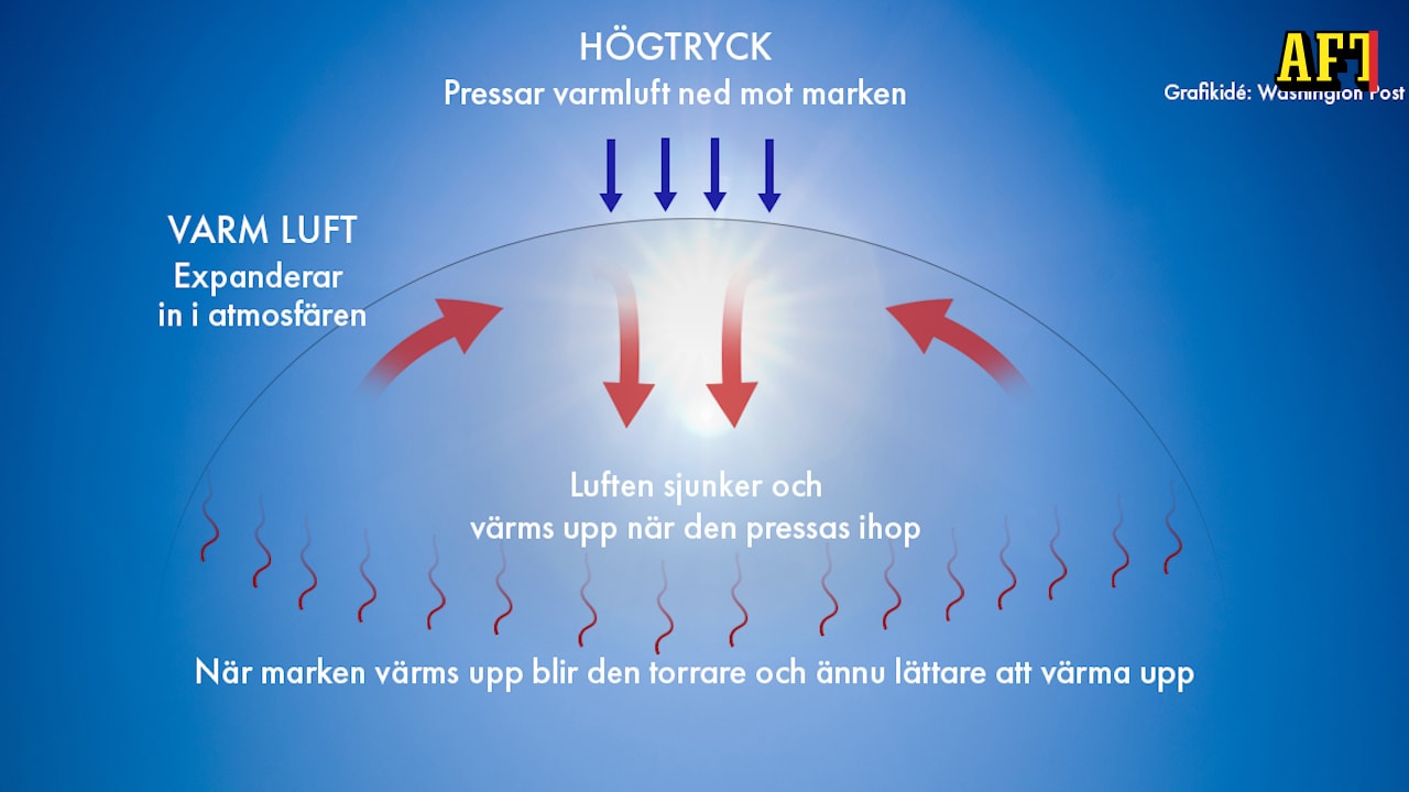 Meteorologen: ”Här är anledningen till extremhettan i Kanada”