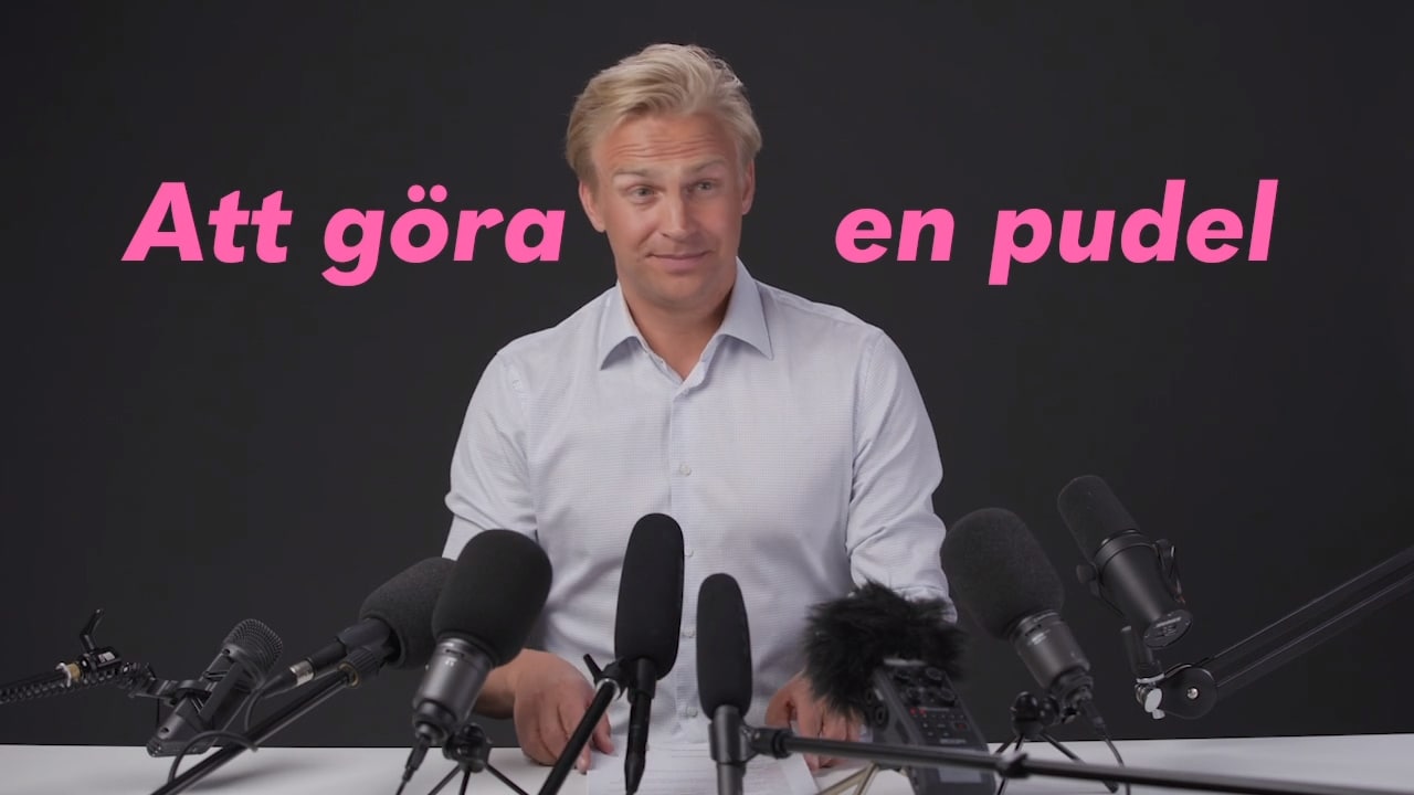 Krishanteraren: Så gör man en pudel