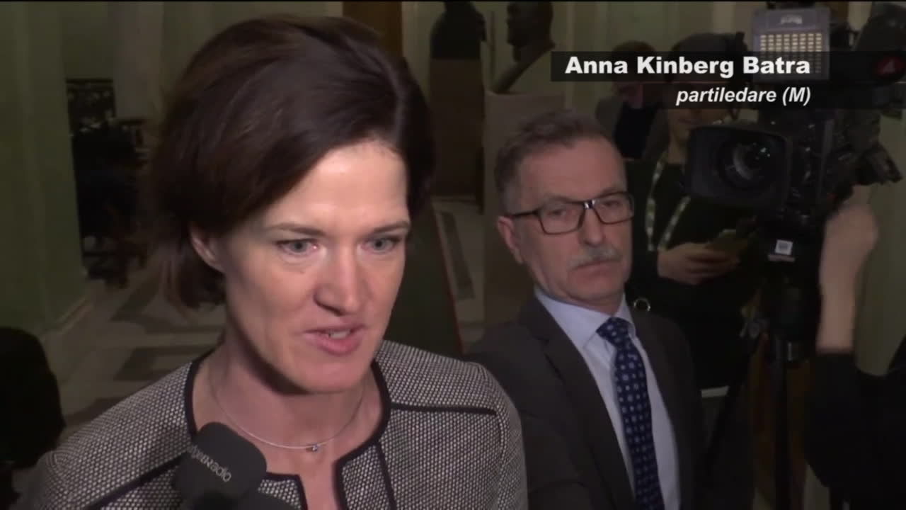 "Moderaterna bör samarbeta med Socialdemokraterna"