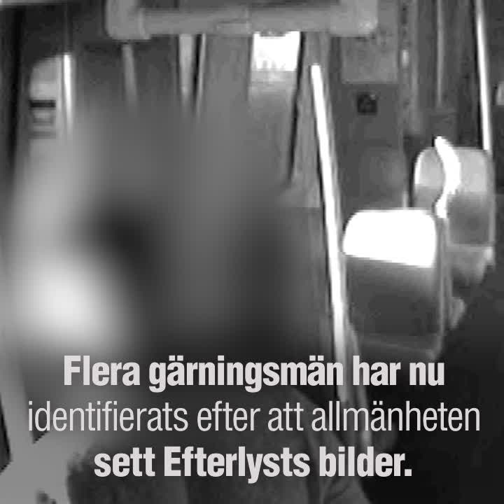 Flera gripna efter Efterlysts publiceringar