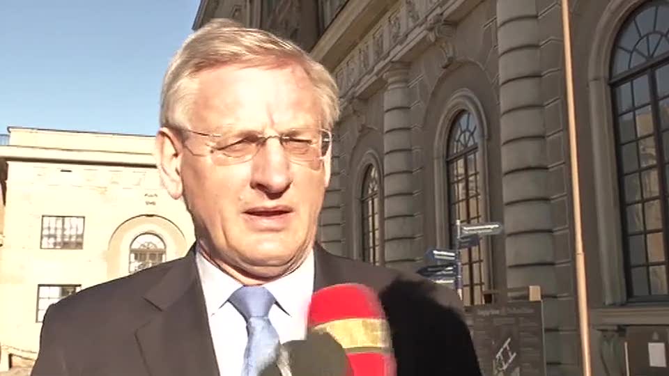 Carl Bildt: ”Vi kommer inte ha stridande funktioner”