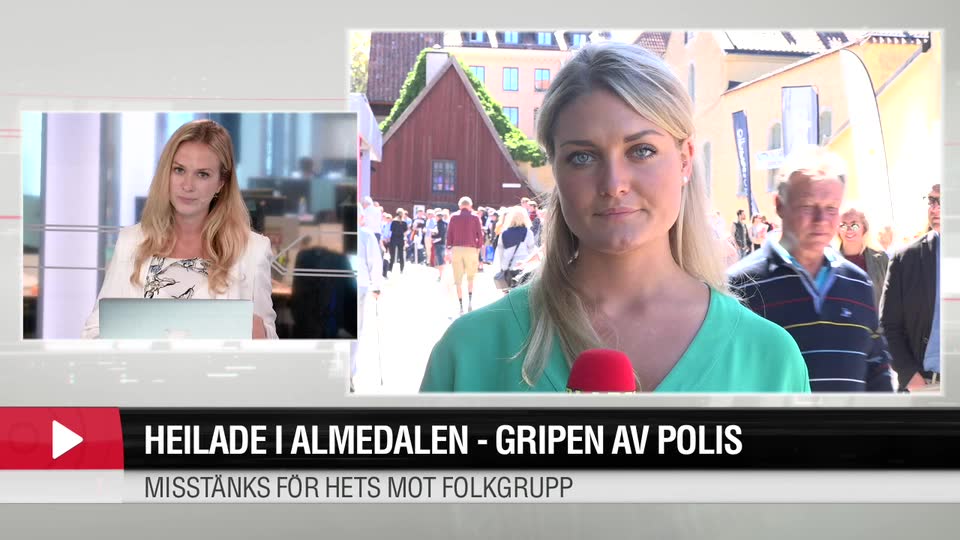 Heilade i almedalen - gripen av polis