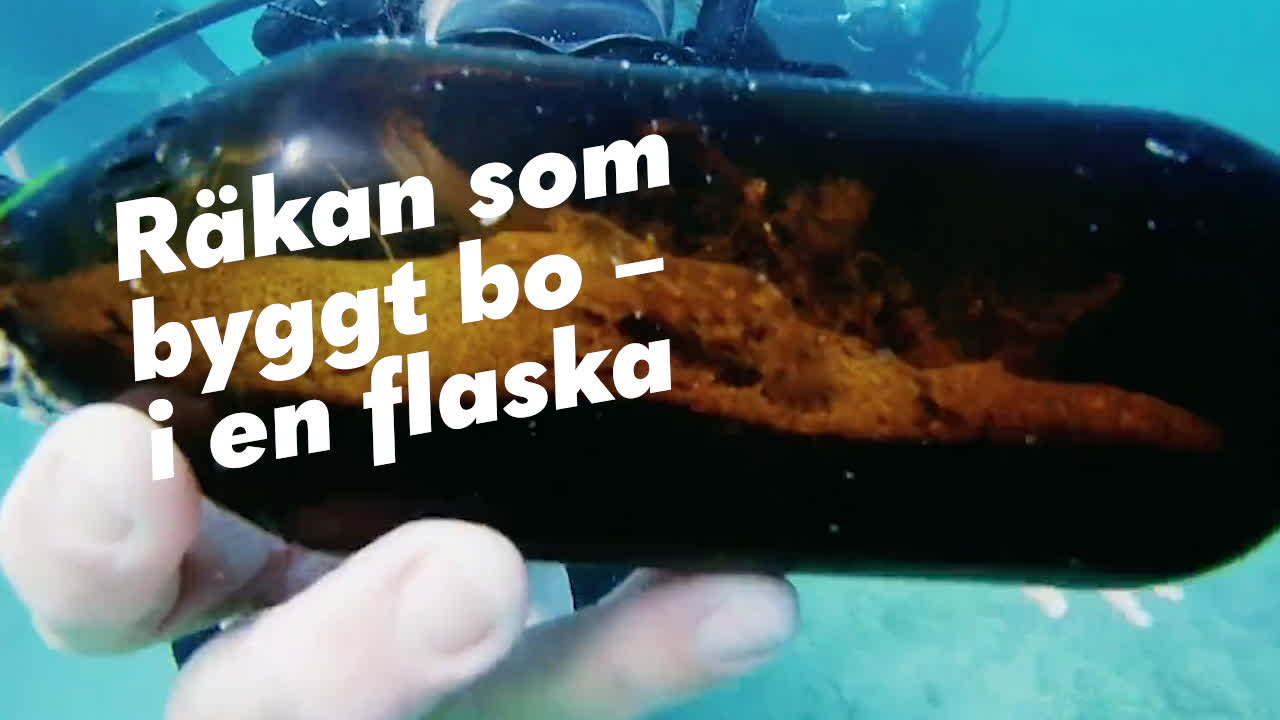 En Flaska På Havets Botten - Men Vad Döljer Sig Inuti? - Aftonbladet TV