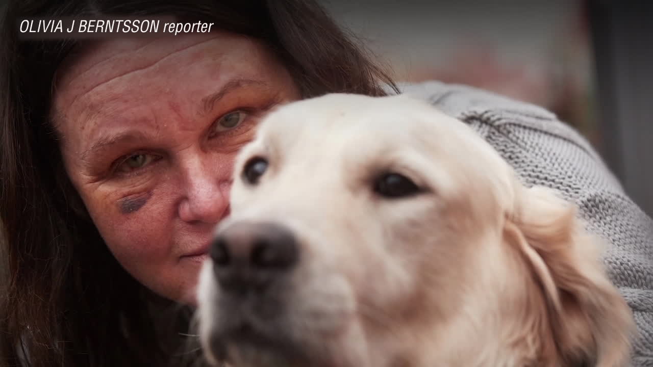 Flera av Eivor Nilssons valpar hittade efter den brutala stölden