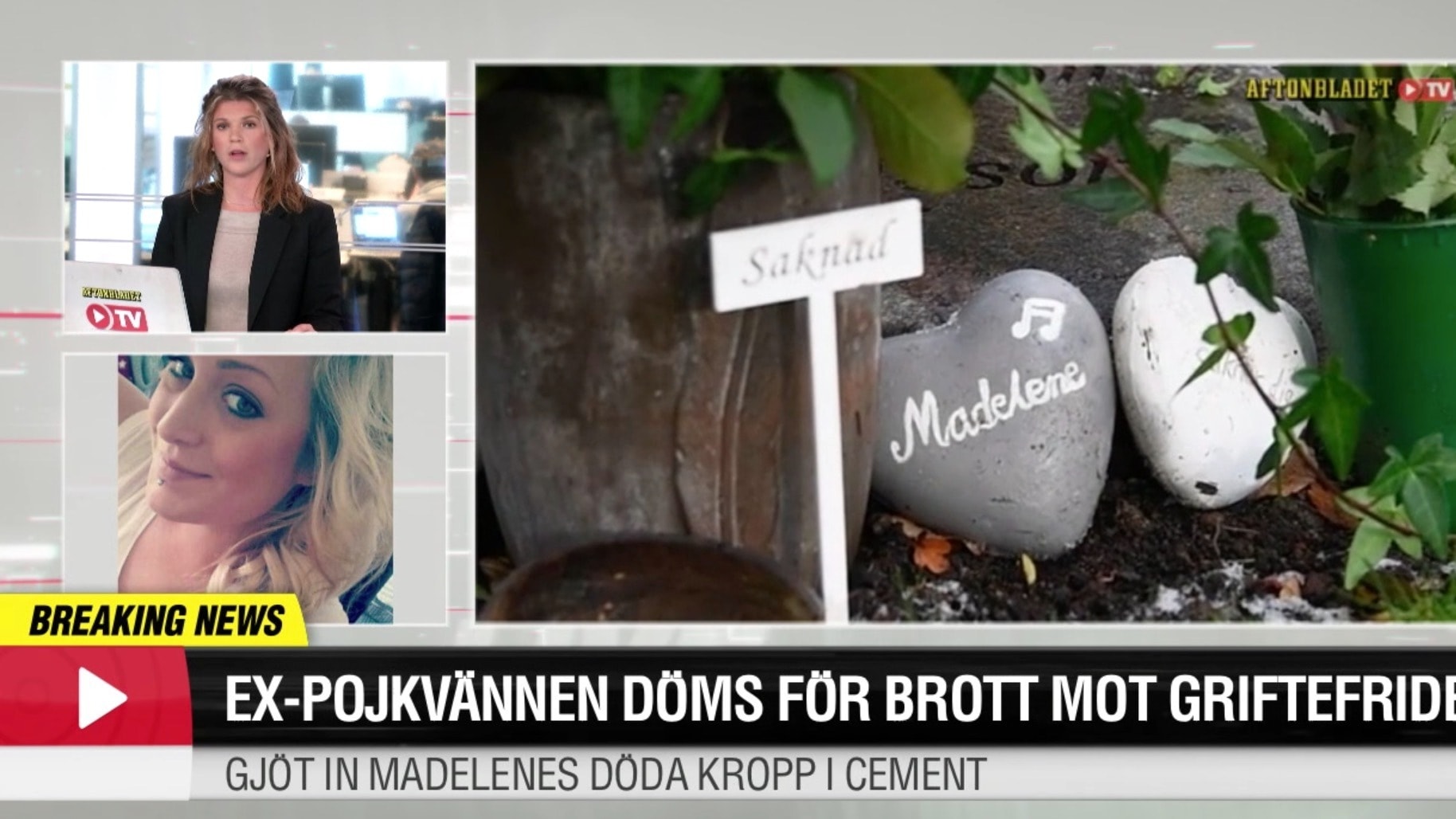 Döms för brott mot griftefriden