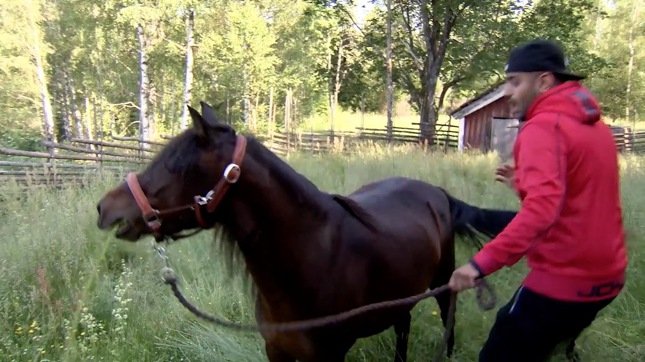 Här är svenska farmenklippet som setts av miljoner