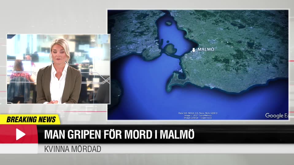 Man gripen för mord i Malmö