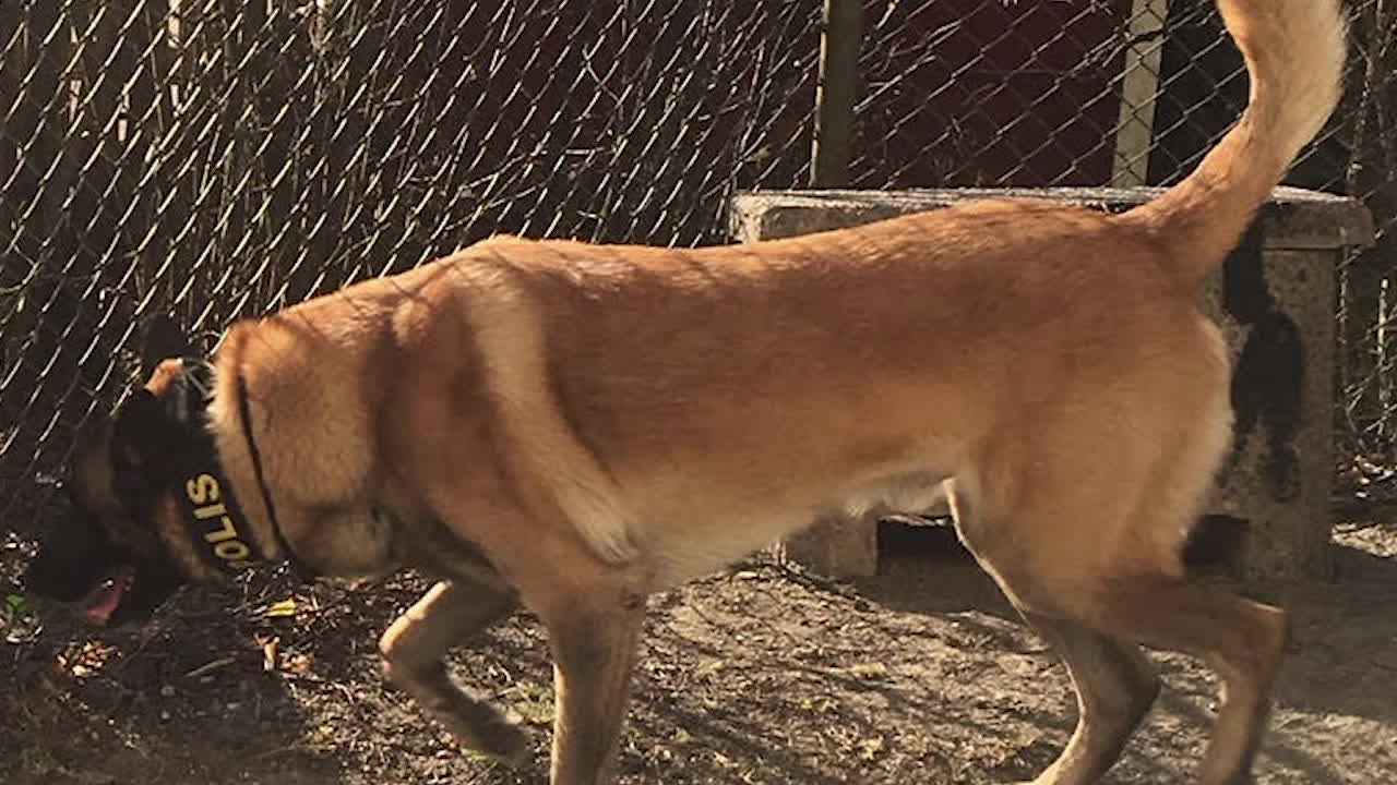 Polisens tydliga budskap efter drogfyndet på förskolegårdarna