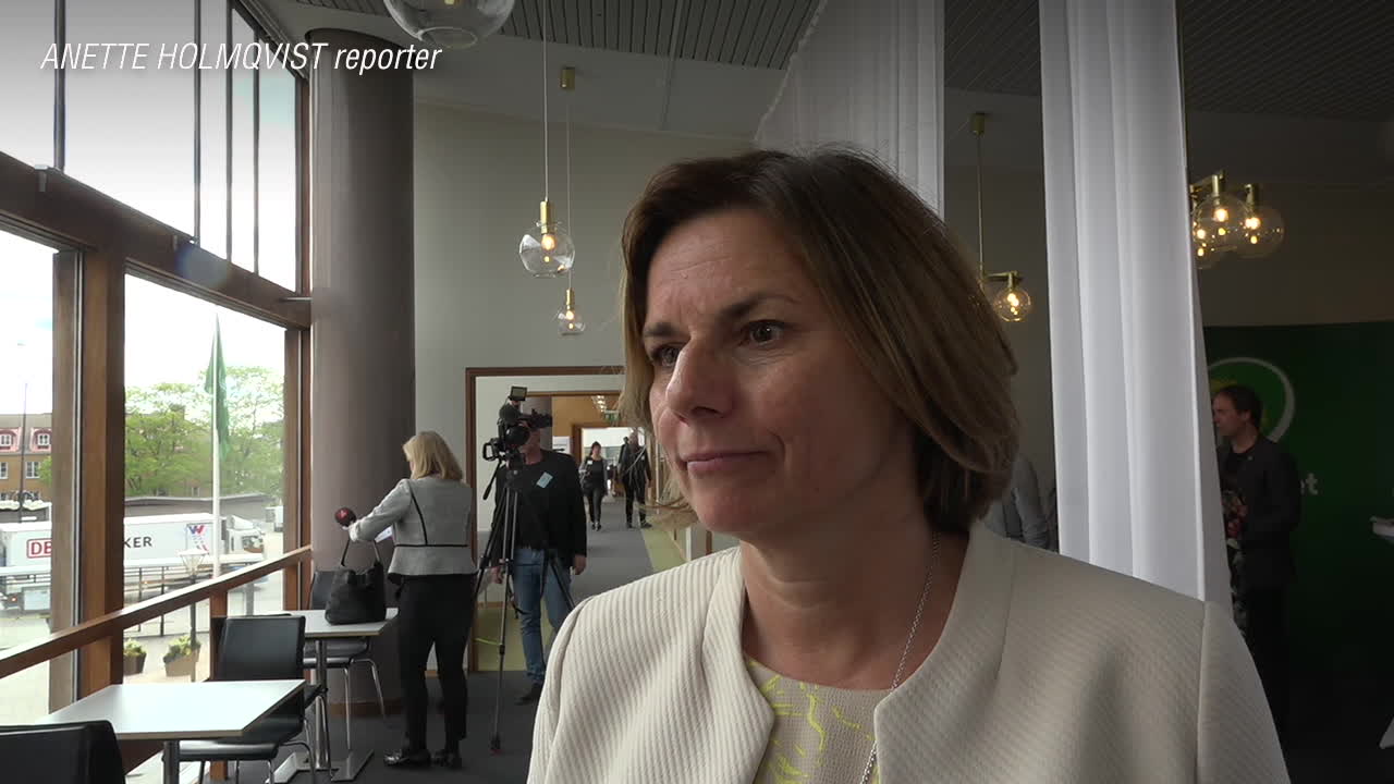 Isabella Lövin (MP): Härifrån borde vi ta pengar till att finansiera klimatomställningen