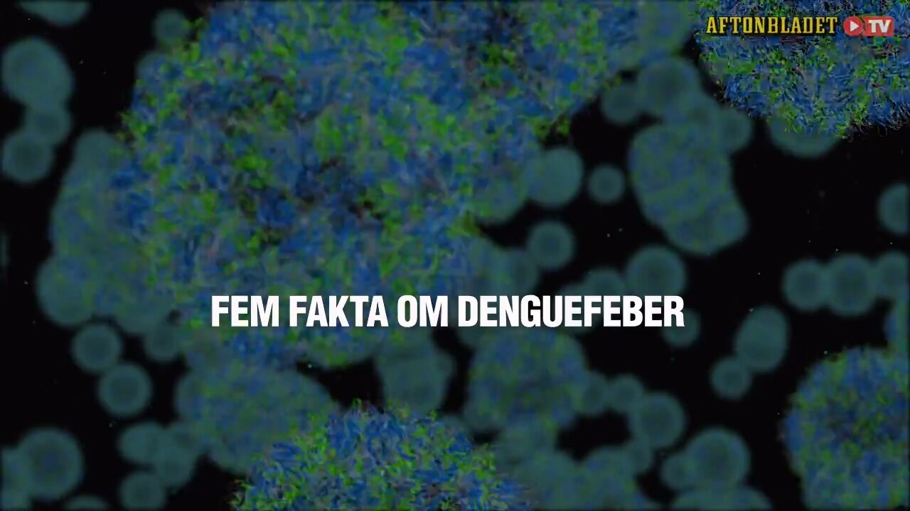 Fem fakta om denguefeber