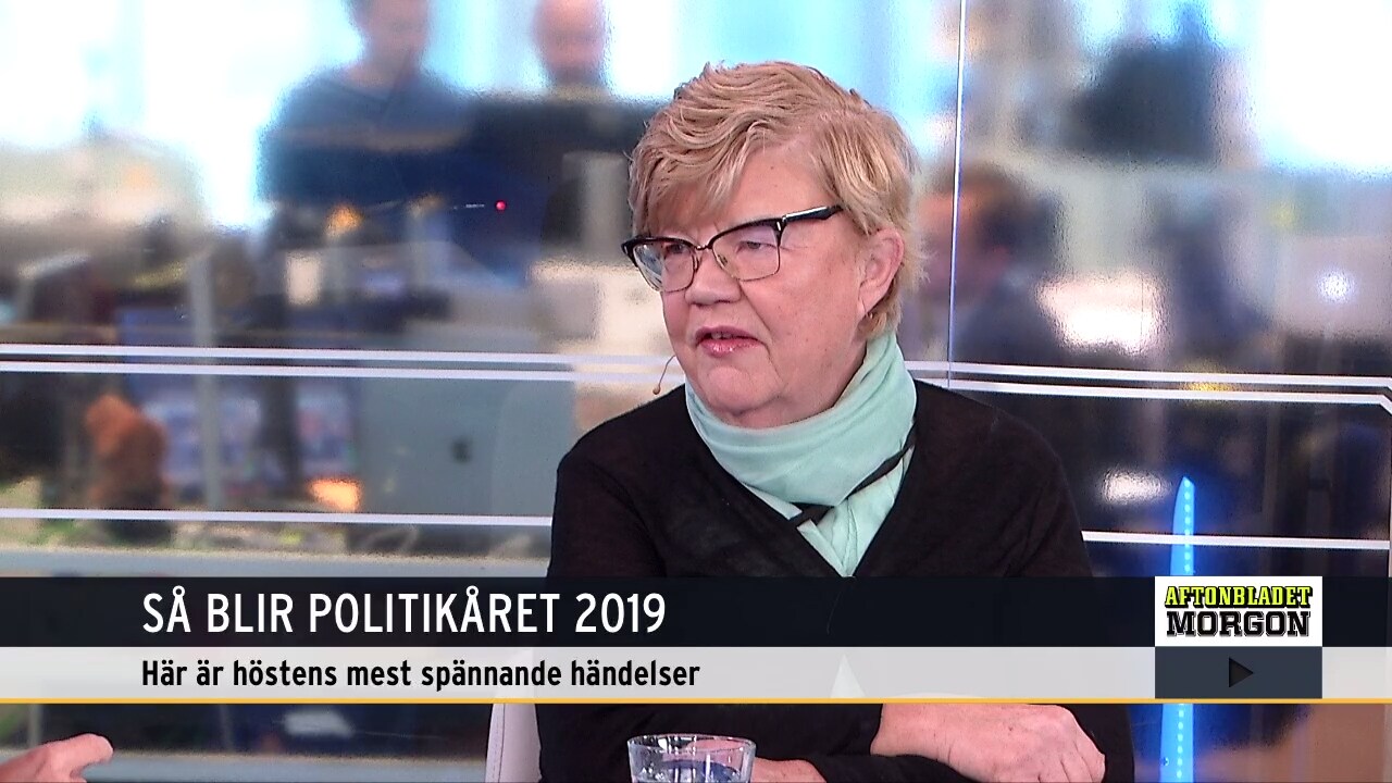 Lena Mellin om politikeråret 2019: "Vi gillar badbilder på regeringens ledamöter"