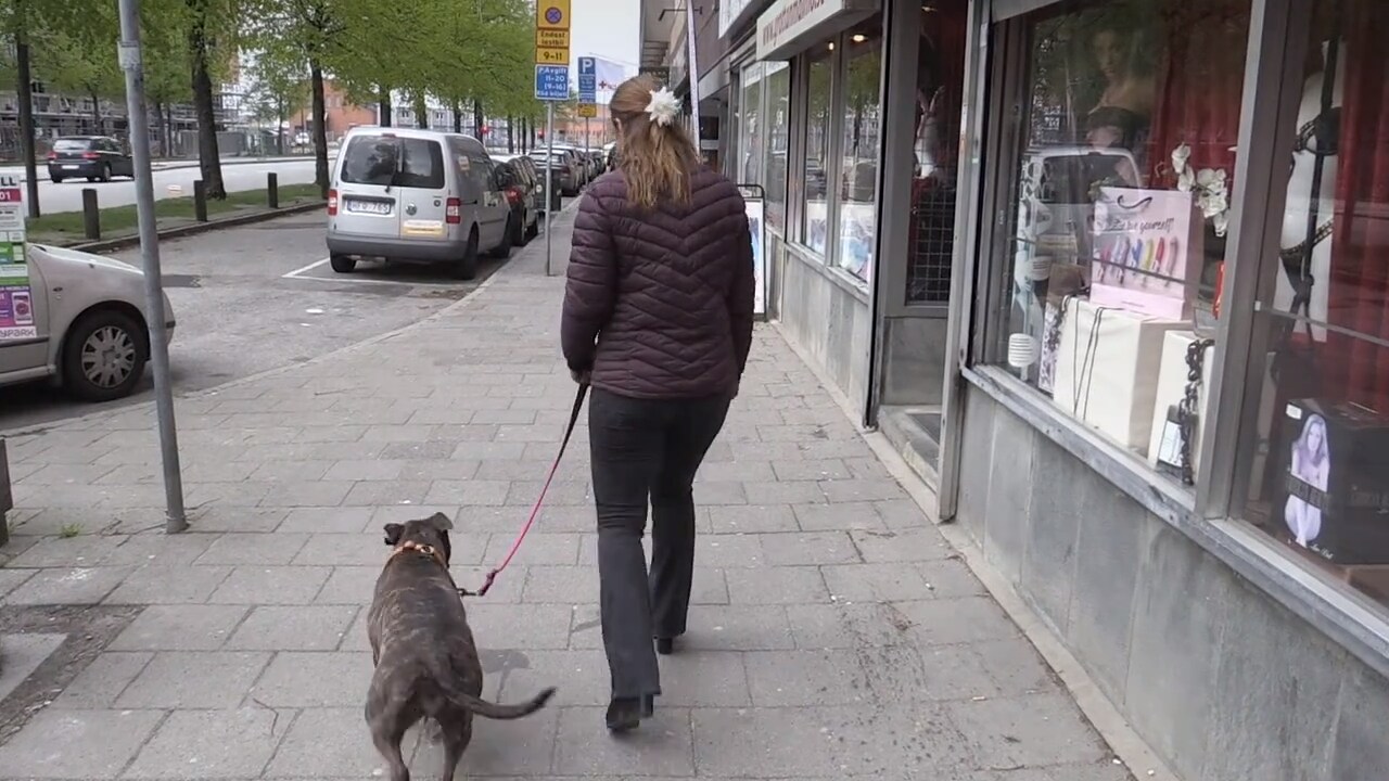 Helena: "Vi slängdes om kull både jag och hunden"