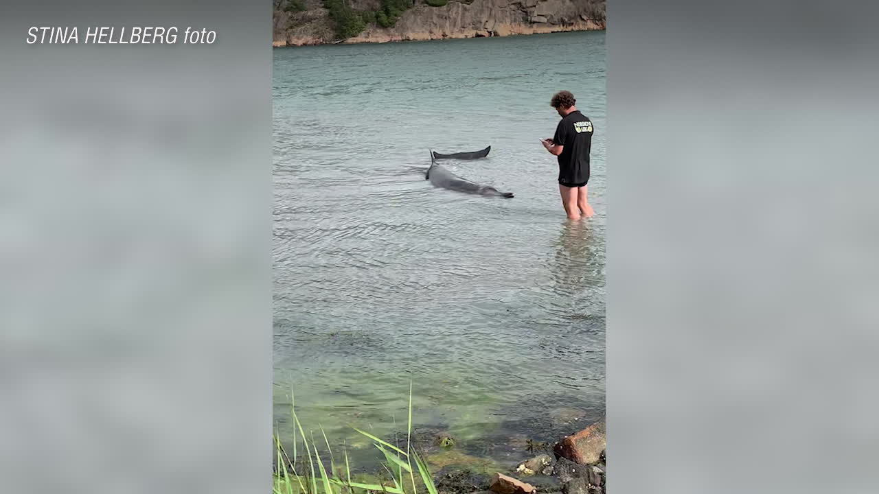 Stina, 24, blev dagens hjälte - ”trodde det var sälar”