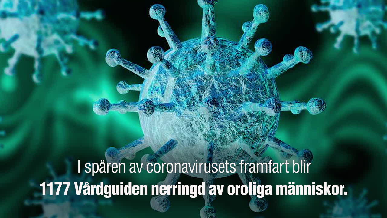 113 13 eller 1177 – vilken ska du vända dig till?