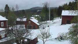 Snösmocka mot svenska sommaren