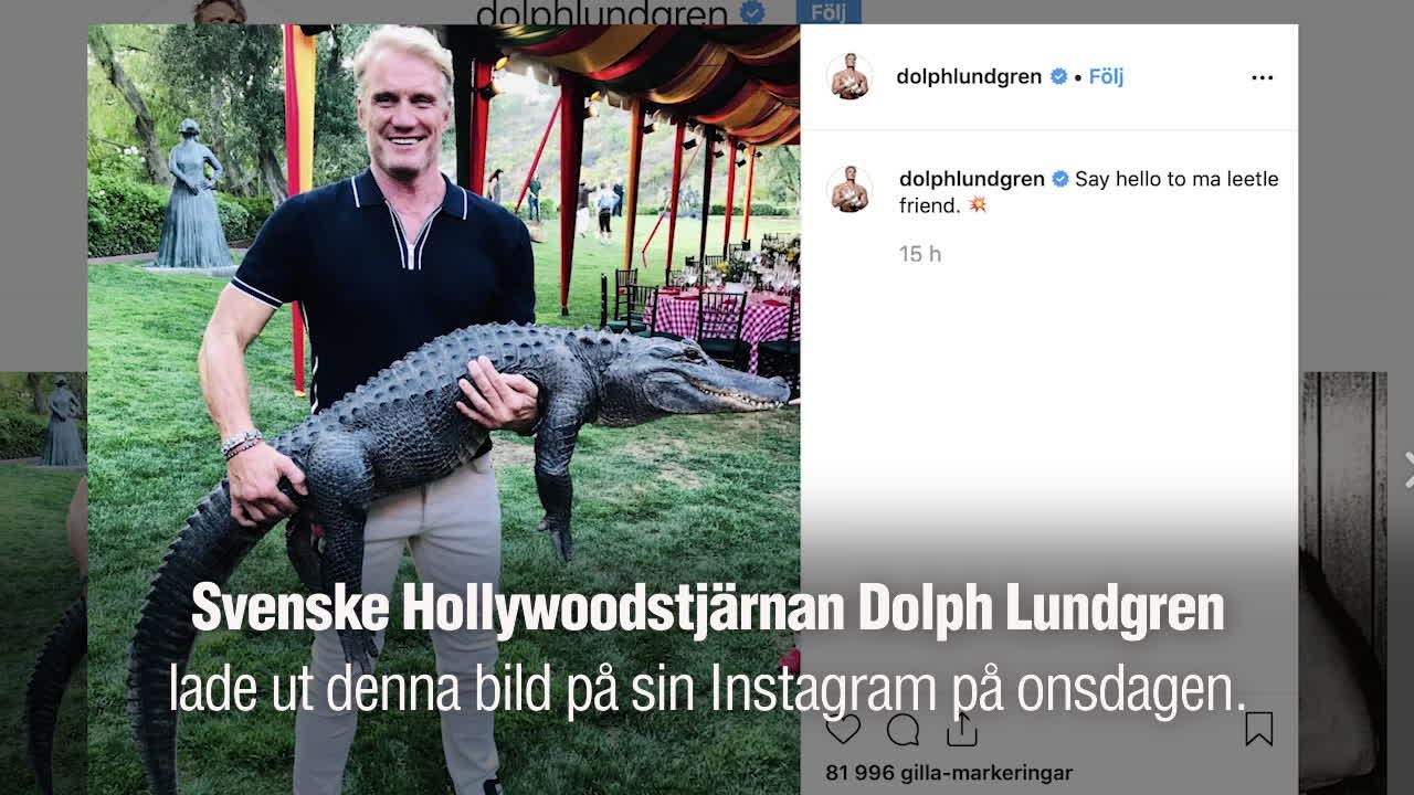 Kritik mot stjärnans Instagrambild: ”Lämna djuret ifred”